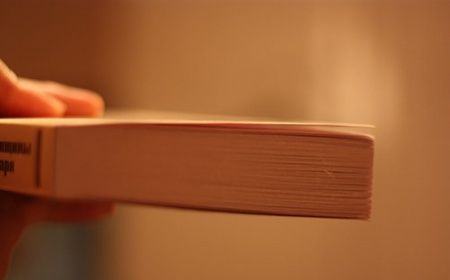 Фотография книги "Степнова: Женщины Лазаря"