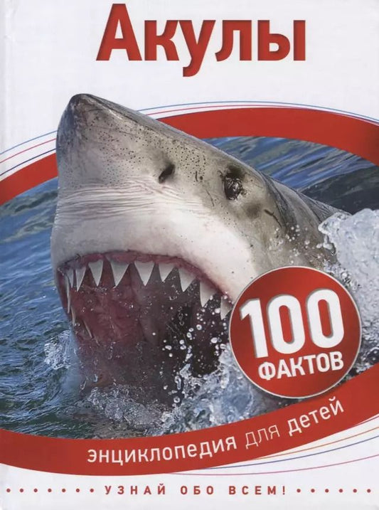 Обложка книги "Стив Паркер: Акулы"