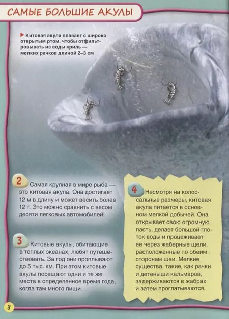 Фотография книги "Стив Паркер: Акулы"