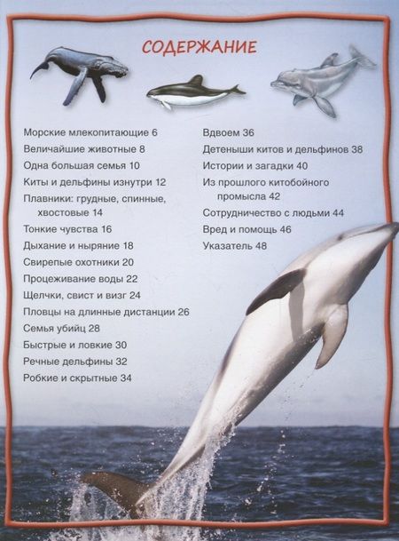 Фотография книги "Стив Паркер: Киты и дельфины"