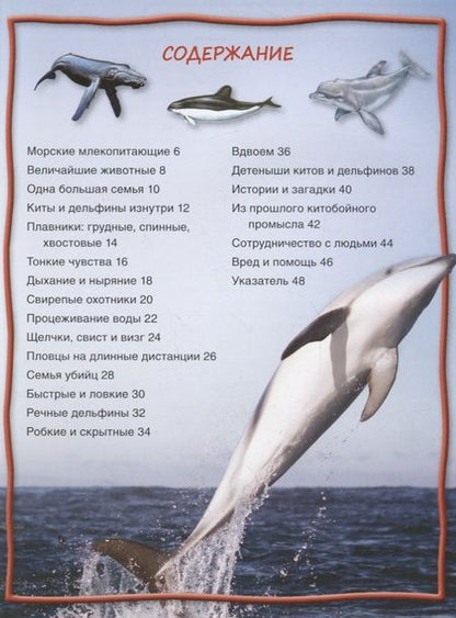 Фотография книги "Стив Паркер: Киты и дельфины"