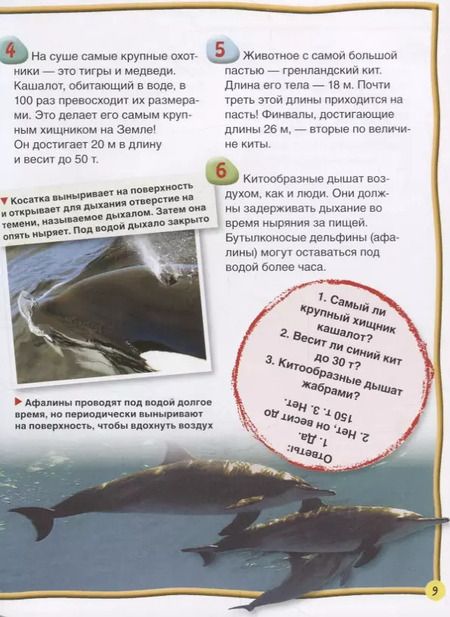 Фотография книги "Стив Паркер: Киты и дельфины"