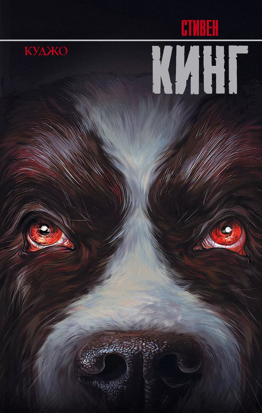 Обложка книги "Стивен Кинг: Куджо"