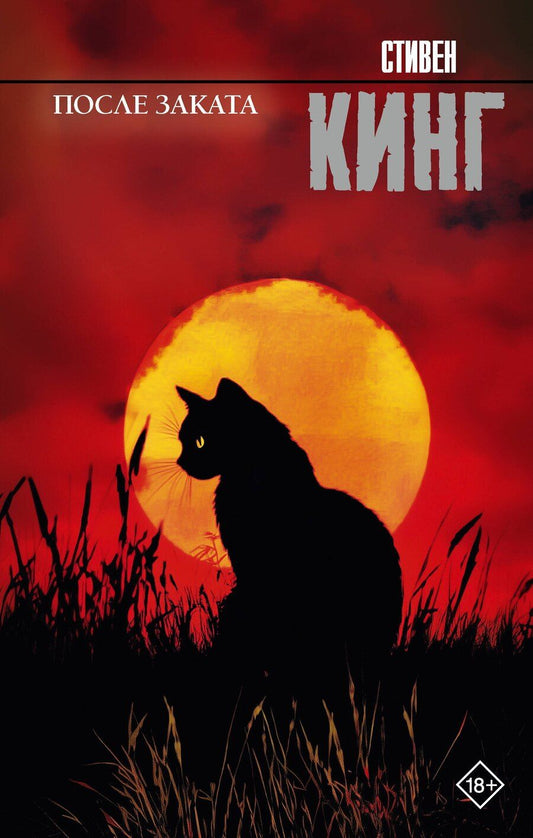 Обложка книги "Стивен Кинг: После заката"