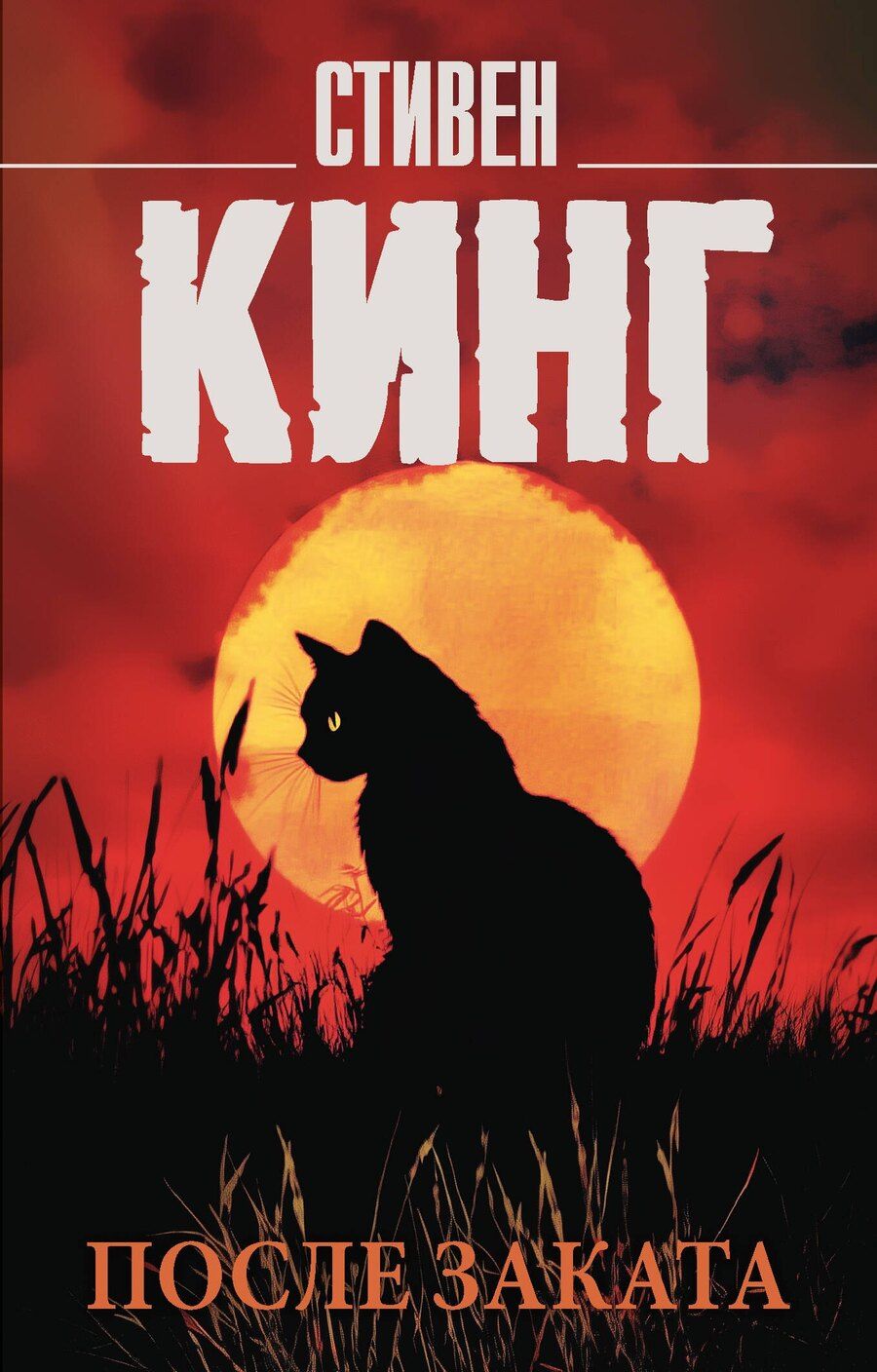 Обложка книги "Стивен Кинг: После заката"