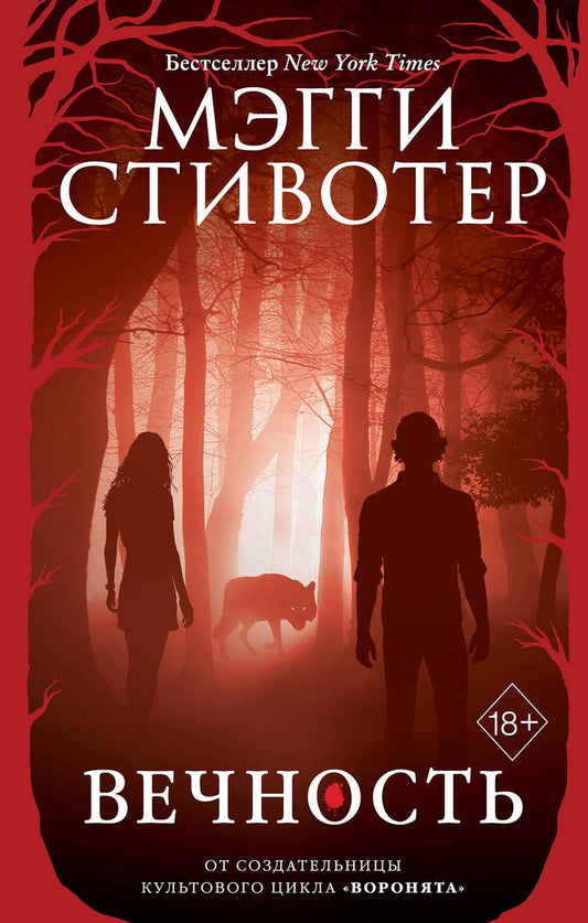 Обложка книги "Стивотер: Вечность"