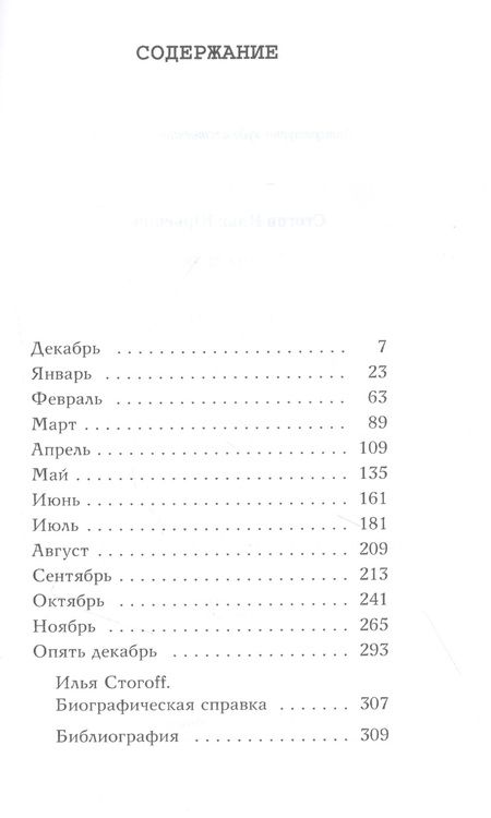 Фотография книги "Стогов: 13 месяцев"