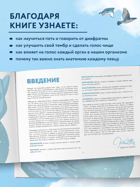 Фотография книги "Стоуни: Пой как никогда раньше. Вокальные техники"