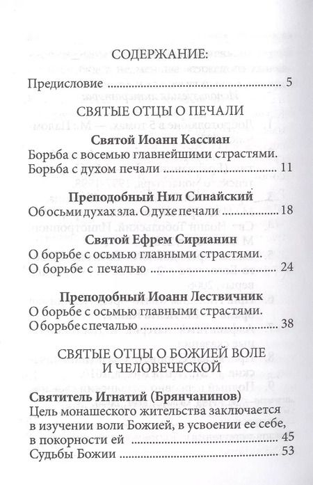 Фотография книги "Страсти - болезни души: Печаль и борьба с нею. Святоотеческое учение и современная практика. 2-е изд"