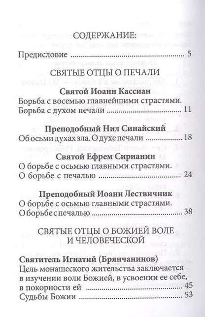 Фотография книги "Страсти - болезни души: Печаль и борьба с нею. Святоотеческое учение и современная практика. 2-е изд"