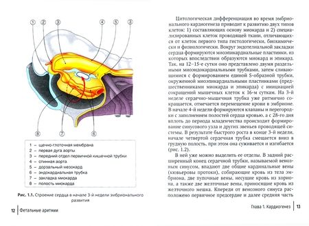 Фотография книги "Стрижаков, Игнатко, Родионова: Фетальные аритмии"