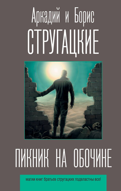 Обложка книги "Стругацкий, Стругацкий: Пикник на обочине"