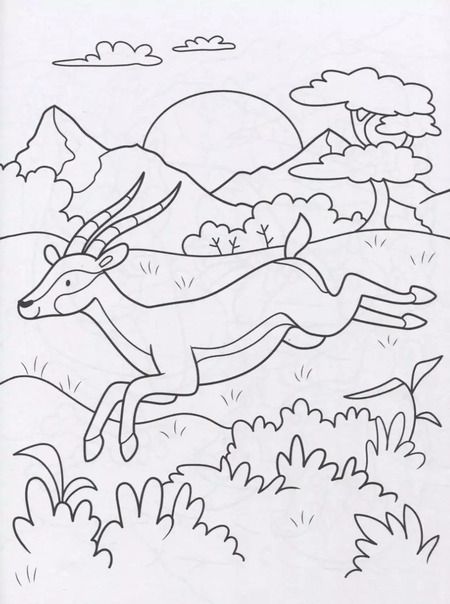 Фотография книги "Супер-пупер раскраска "Дикие животные""