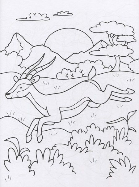 Фотография книги "Супер-пупер раскраска "Дикие животные""