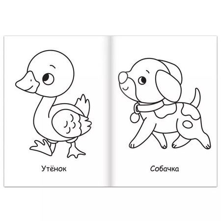 Фотография книги "Суперраскраска "На ферме и в лесу""