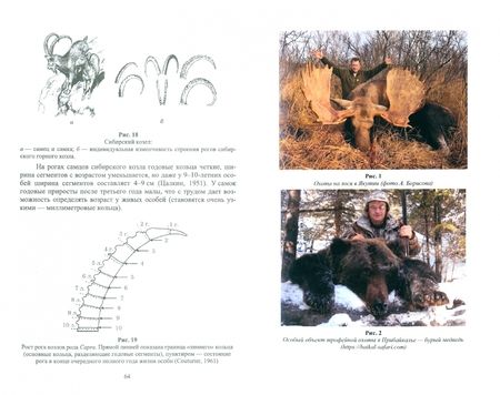 Фотография книги "Суворов, Беленюк, Александрова: Охотничий туризм в России. Учебник"