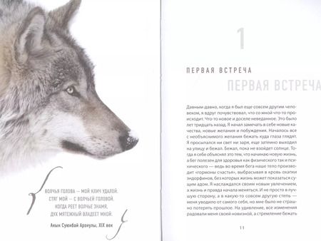 Фотография книги "Свами: Волк. Размышления о главном"