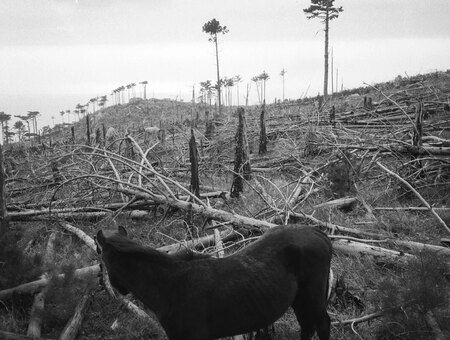 Фотография книги "Света нет"