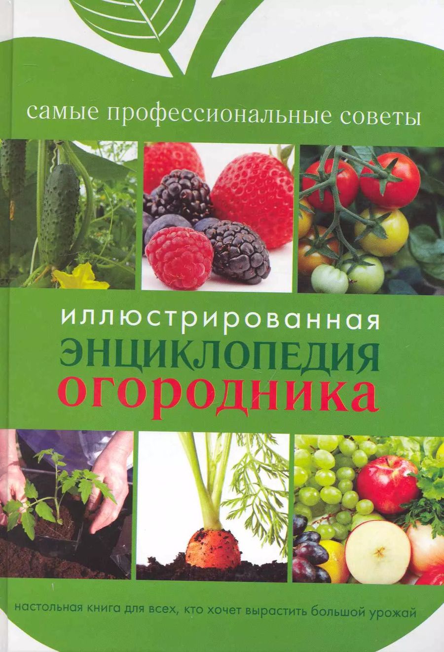 Обложка книги "Светлана Чебаева: Иллюстрированная энциклопедия огородника"