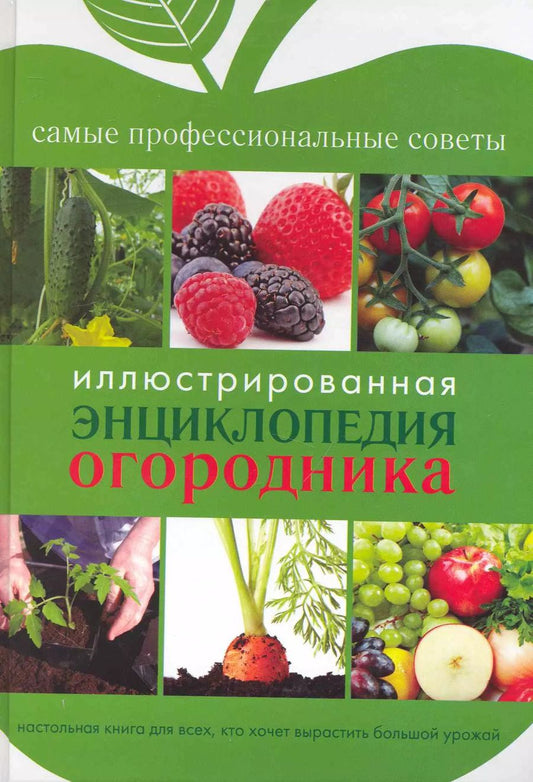Обложка книги "Светлана Чебаева: Иллюстрированная энциклопедия огородника"