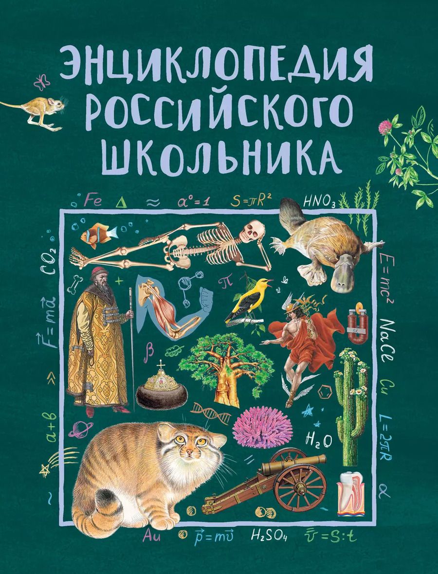 Обложка книги "Светлана Гальцева: Энциклопедия российского школьника"