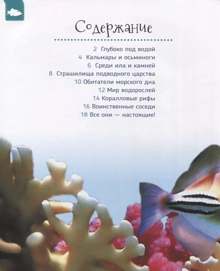 Фотография книги "Светлана Гальцева: Подводный мир (Первая энциклопедия)"
