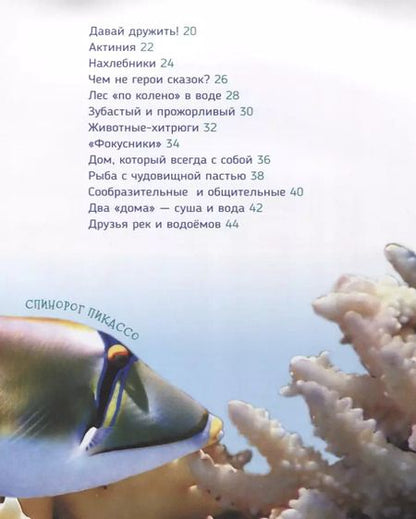 Фотография книги "Светлана Гальцева: Подводный мир (Первая энциклопедия)"