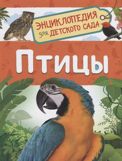 Обложка книги "Светлана Гальцева: Птицы"