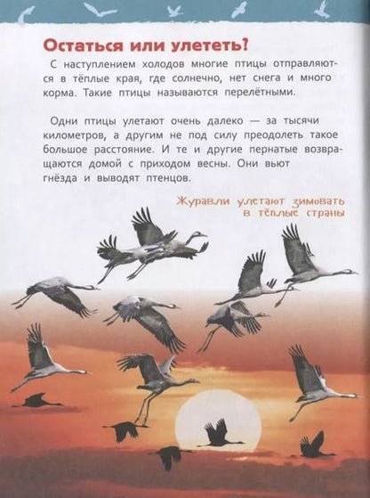 Фотография книги "Светлана Гальцева: Птицы"