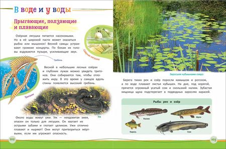 Фотография книги "Светлана Гальцева: Современная энциклопедия дошкольника"