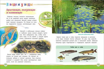Фотография книги "Светлана Гальцева: Современная энциклопедия дошкольника"