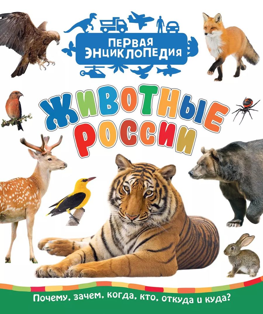 Обложка книги "Светлана Гальцева: Животные России"