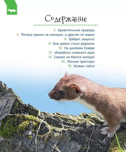 Фотография книги "Светлана Гальцева: Животные России"