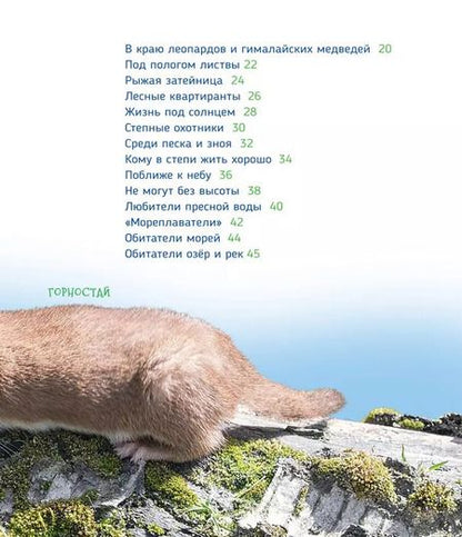 Фотография книги "Светлана Гальцева: Животные России"