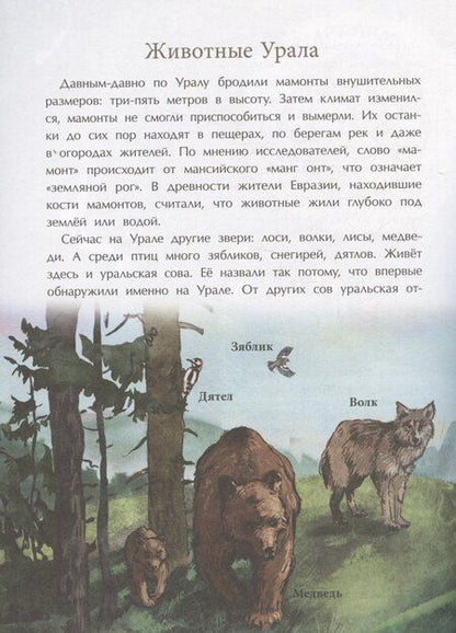 Фотография книги "Светлана Горева: Уральские горы. Каменный пояс Россси"