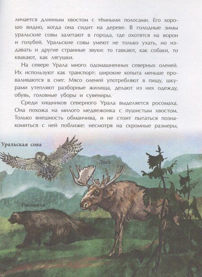 Фотография книги "Светлана Горева: Уральские горы. Каменный пояс Россси"