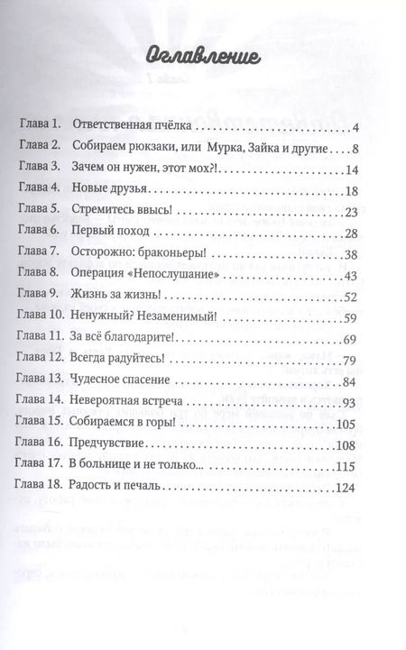 Фотография книги "Светлана Крутова: Каникулы на "5+", или Незабываемое лето Кеши и Гоши"