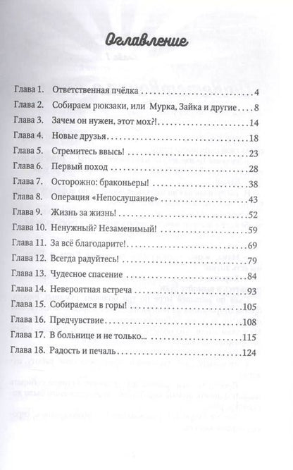 Фотография книги "Светлана Крутова: Каникулы на "5+", или Незабываемое лето Кеши и Гоши"