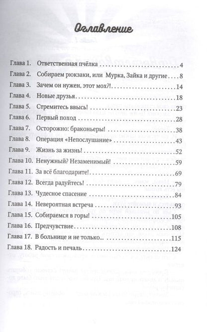 Фотография книги "Светлана Крутова: Каникулы на "5+", или Незабываемое лето Кеши и Гоши"