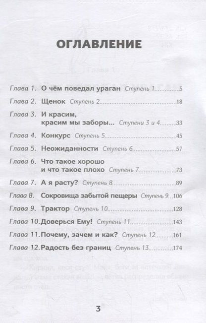 Фотография книги "Светлана Крутова: Крутой подъем. 13 ступеней вверх"