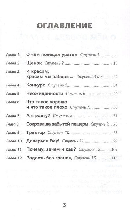 Фотография книги "Светлана Крутова: Крутой подъем. 13 ступеней вверх"