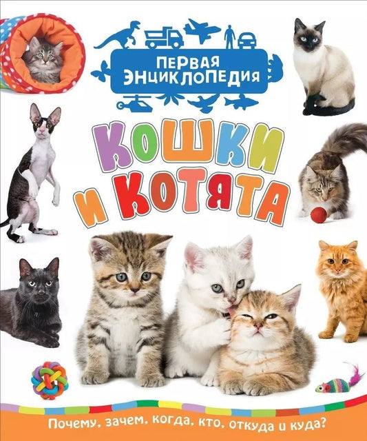 Обложка книги "Светлана Николаевна: Кошки и котята (Первая энциклопедия)"