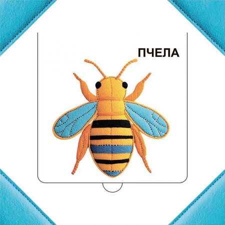 Фотография книги "Светлана Станкевич: Кто прячется в траве?"