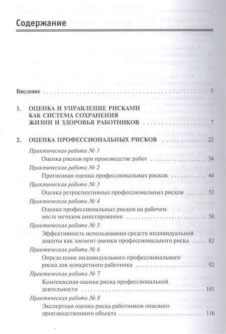 Фотография книги "Светлана Тимофеева: Оценка техногенных рисков"