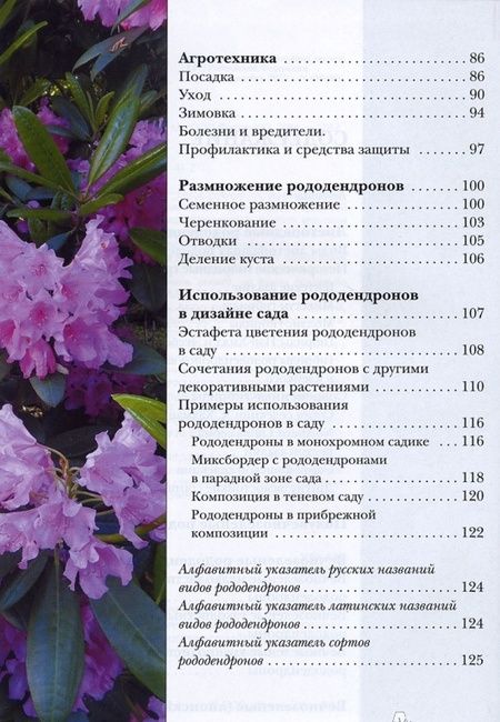 Фотография книги "Светлана Воронина: Рододендроны"