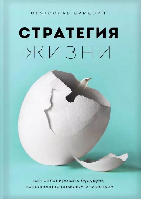Обложка книги "Святослав Бирюлин: Стратегия жизни. Как спланировать будущее, наполненное смыслом и счастьем"
