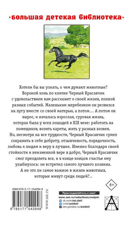 Фотография книги "Сьюэлл: Черный красавчик"