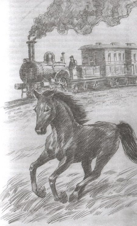 Фотография книги "Сьюэлл: Чёрный Красавчик"