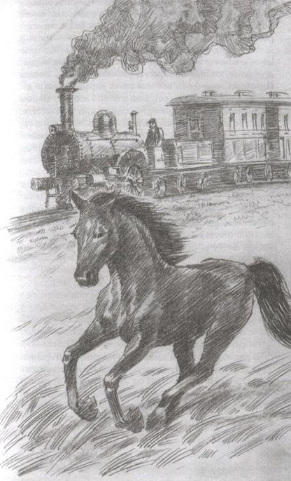 Фотография книги "Сьюэлл: Чёрный Красавчик"