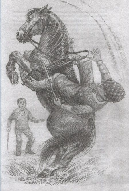 Фотография книги "Сьюэлл: Чёрный Красавчик"